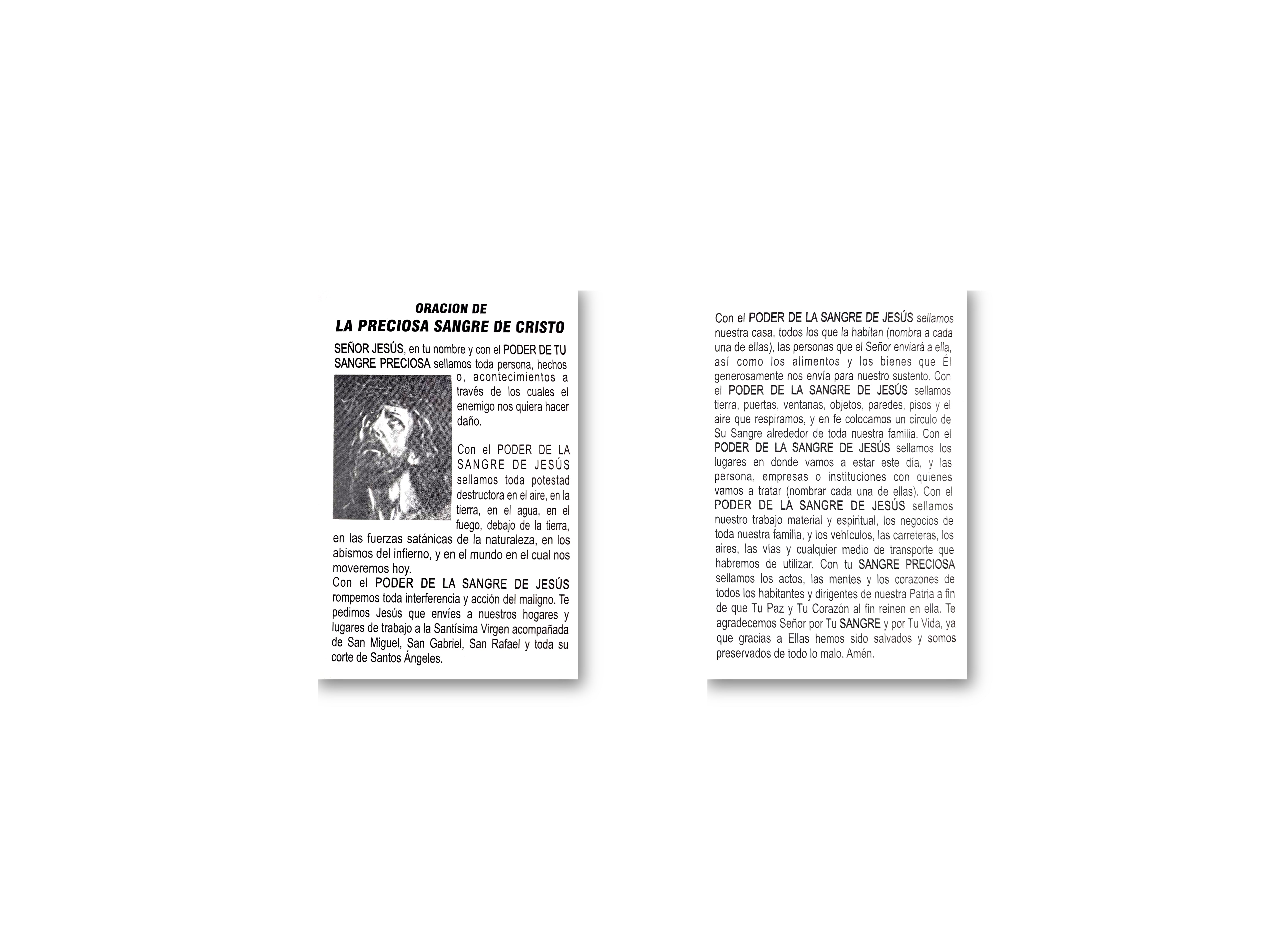 Cordon a la Preciosa Sangre