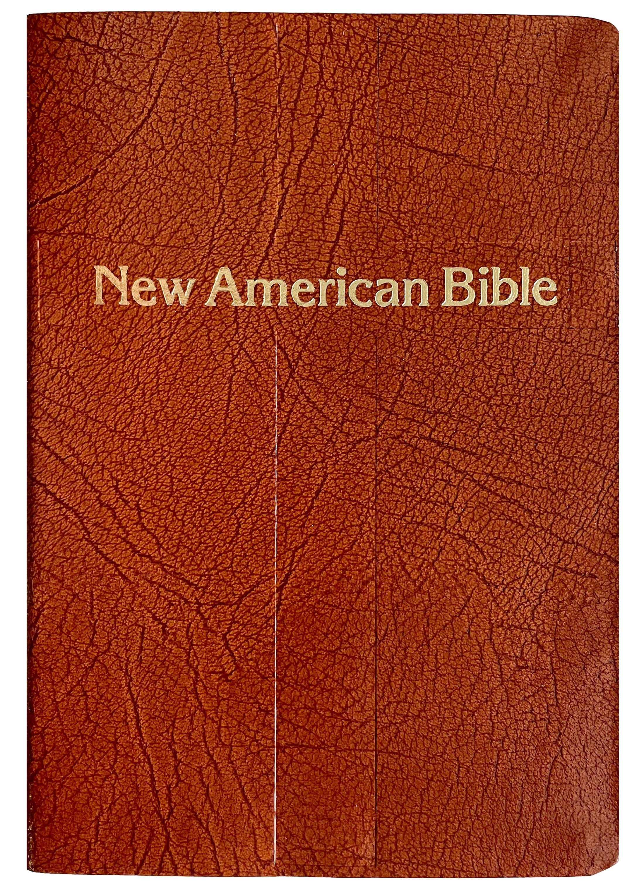 New American Bible - Gift Boxed
