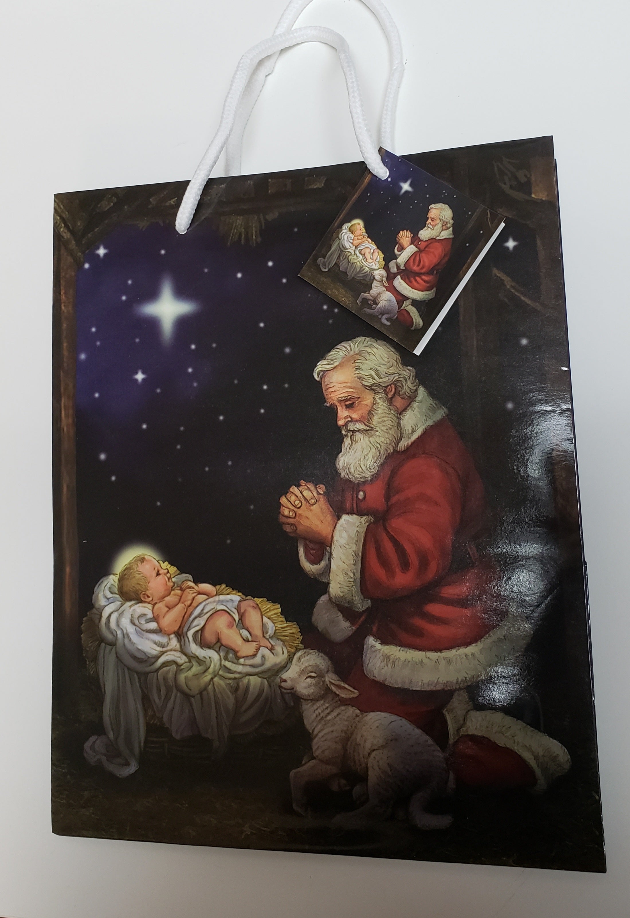 Adoring Santa Gift Bag