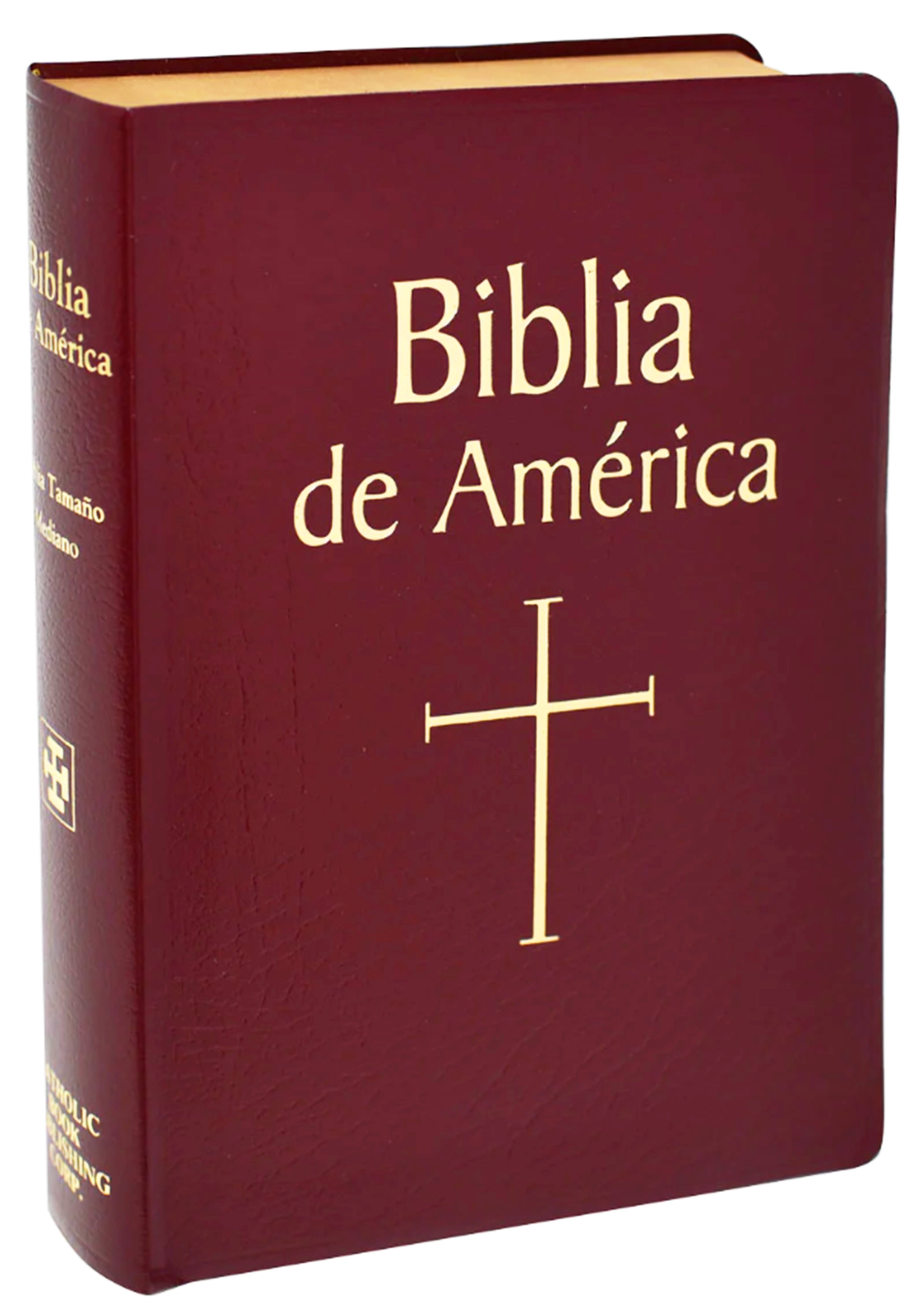 Biblia de America